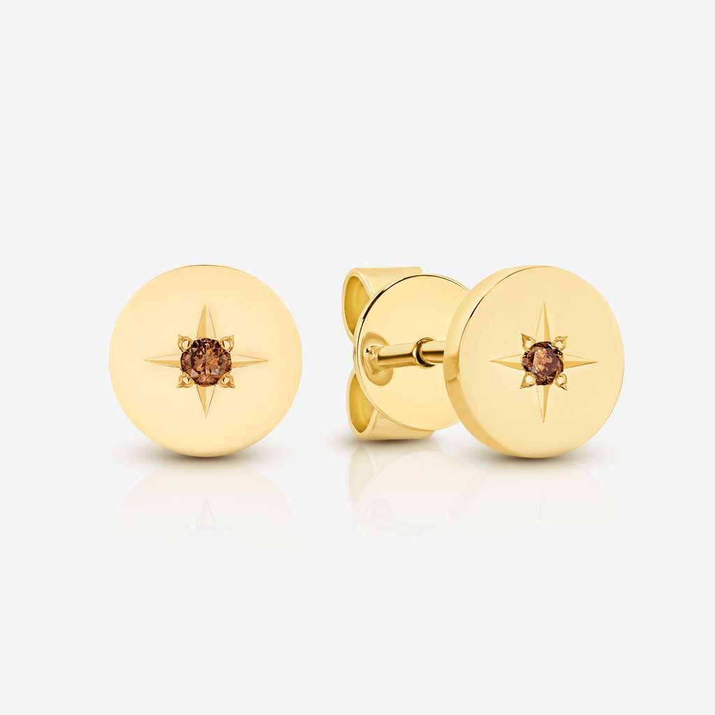 Desert Star Earrings - 9YG