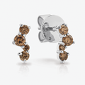 Sunshine Wattle Earrings - 9WG