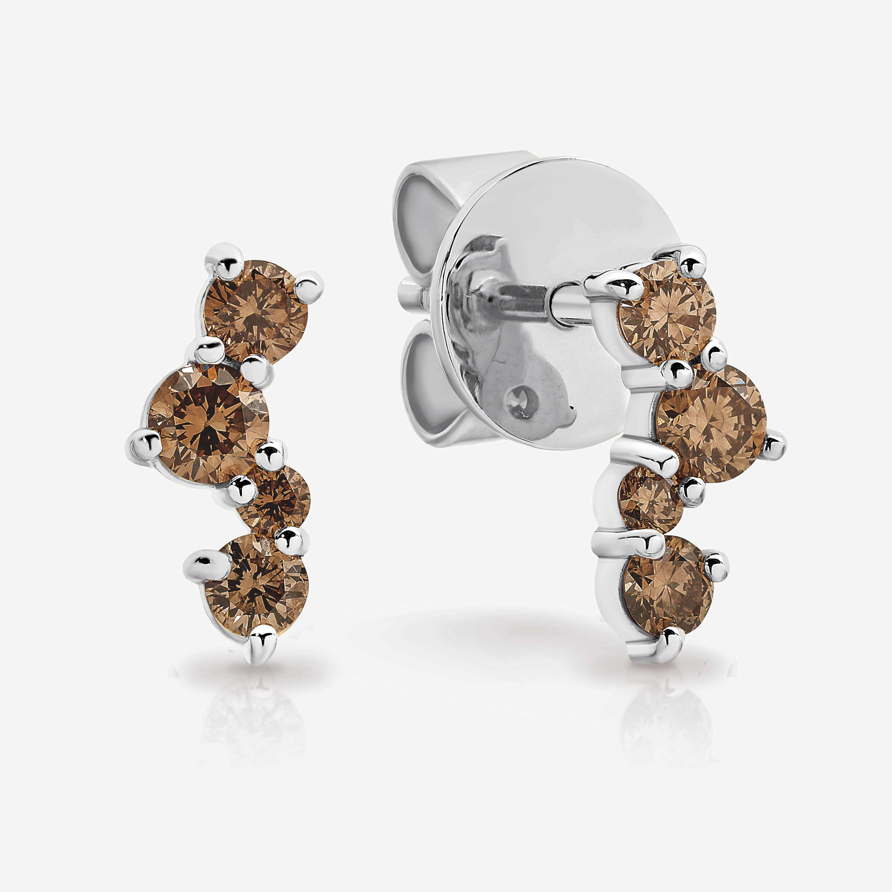 Sunshine Wattle Earrings - 9WG