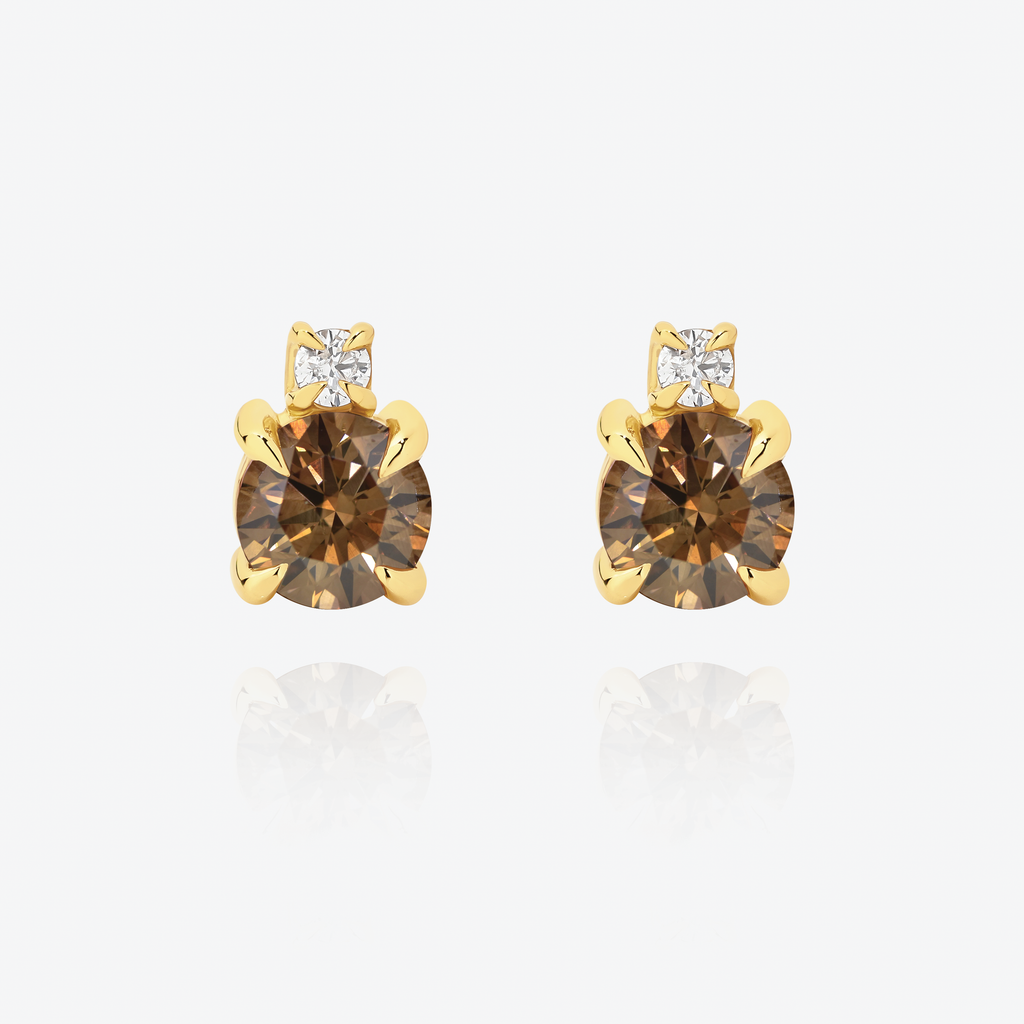 Golden Dusk Earrings - 9YG