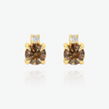 Golden Dusk Earrings - 9YG