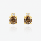 Golden Dusk Earrings - 9YG