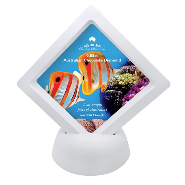 Aussie Diamond Boxes - 5pt Great Barrier Reef Fish